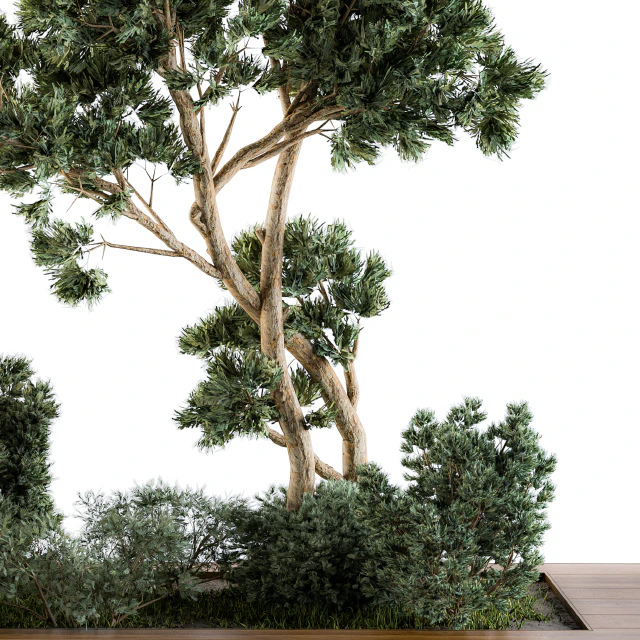 Garden set bush and Tree - Garden Set 06 — Скачать