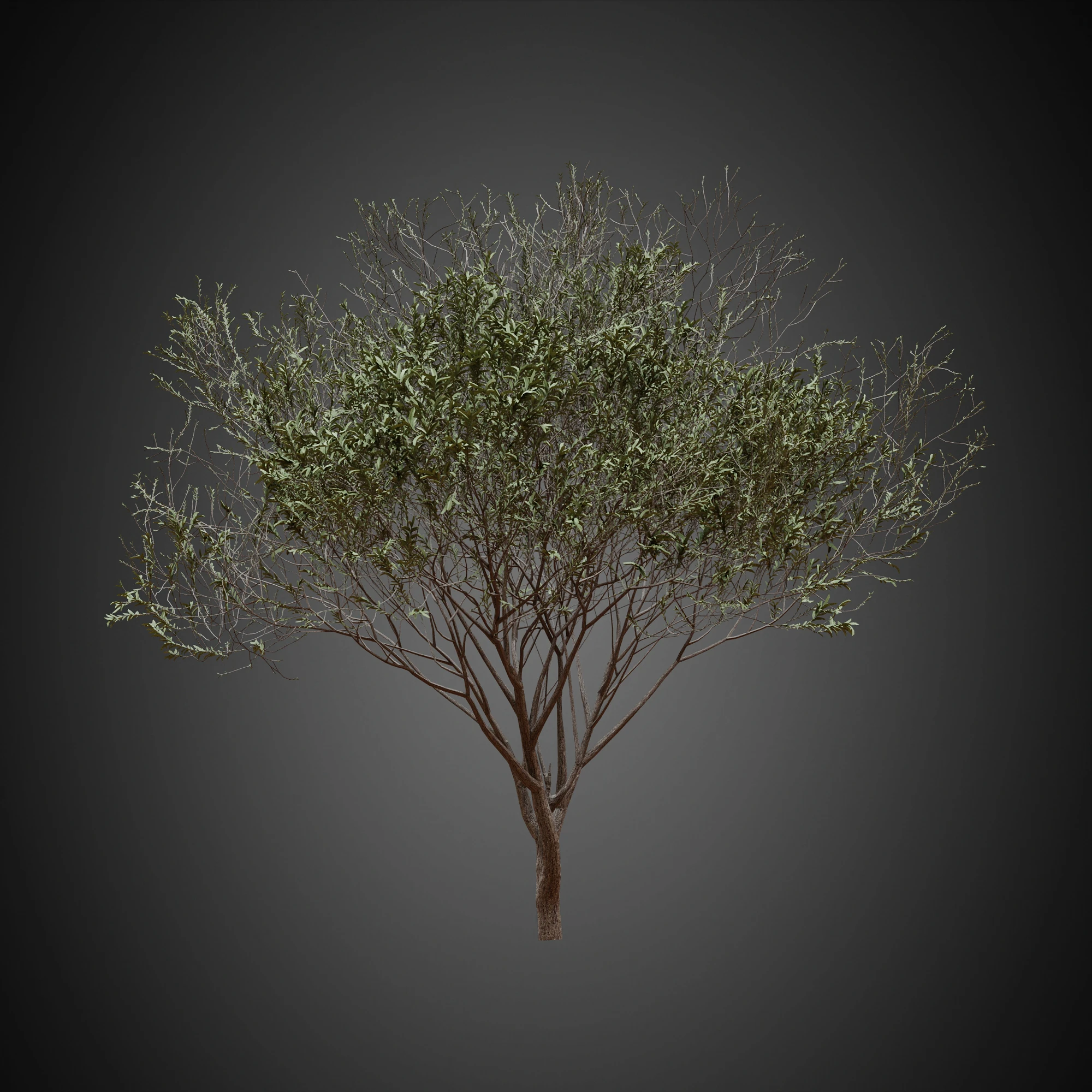 010 — Скачать