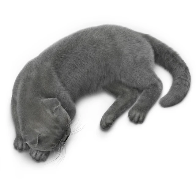CAT 6 Corona — Descargar