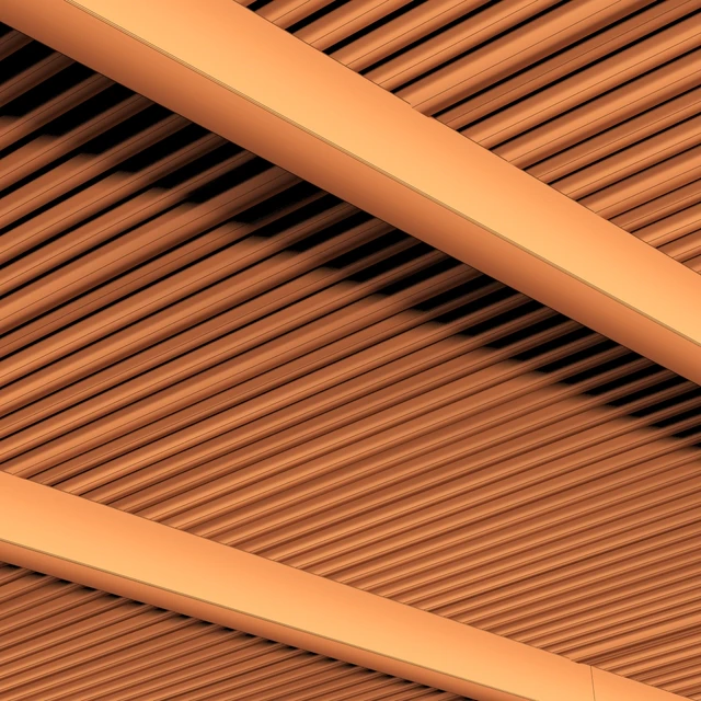 Ceiling straight thin branch n1 — Descargar
