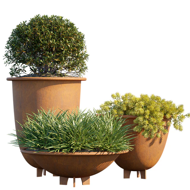 Plant in pots #6 — Скачать