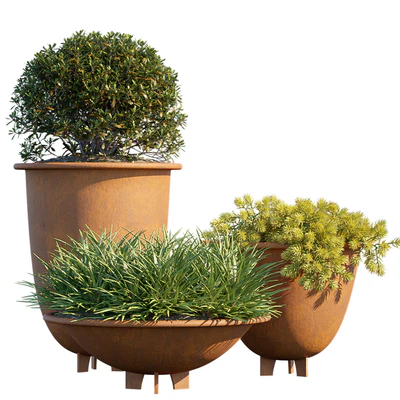 Plant in pots #6 — Вид 1