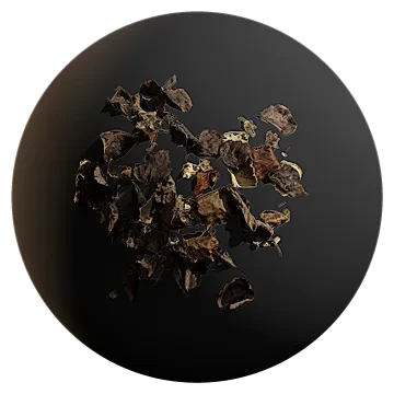 dried leaf pile 005 — Descargar