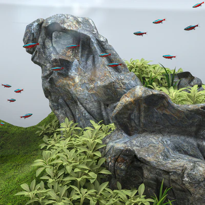 Aquascape aquarium — Вид 5