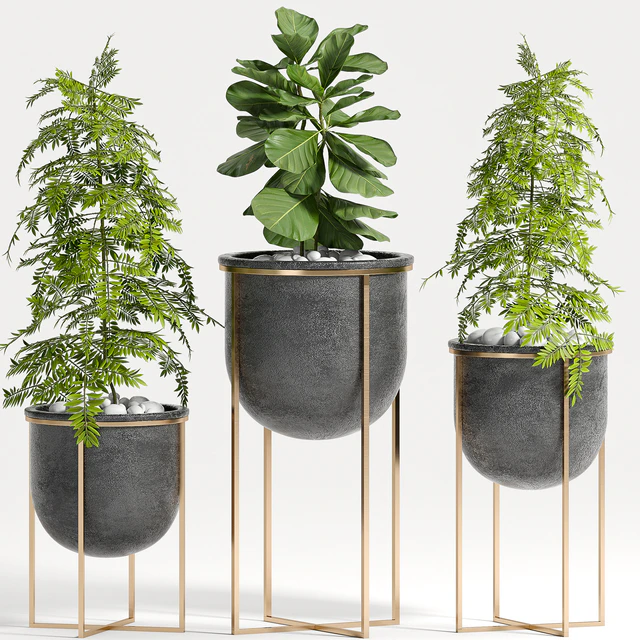 PLANT SET -80 — Descargar