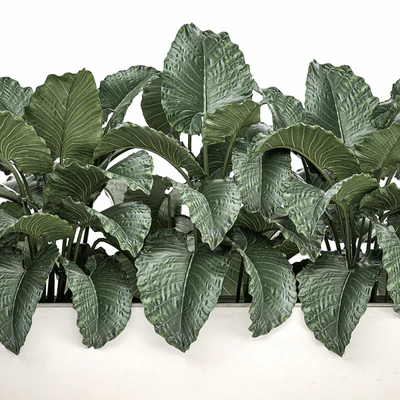 Exotic decorative lush thickets of Alchemy bushes in a white pot flowerbed. Set 507. — Ver 5