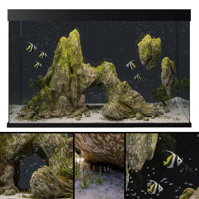 Aquarium with rocks and moss — Descargar