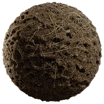 grass dried 032 — Descargar