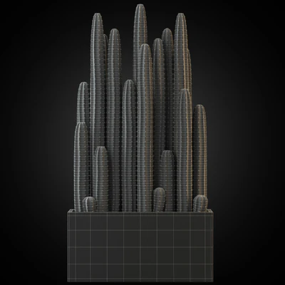 Plants collection 260 — Вид 4
