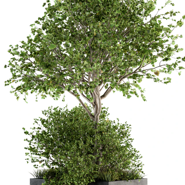 Outdoor Plants in Concrete Plant Box - Set 93 — Descargar