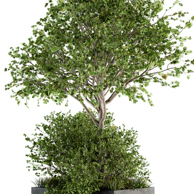 Outdoor Plants in Concrete Plant Box - Set 93 — Ver 5