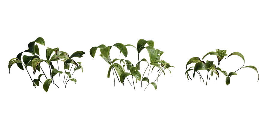 lily of the valley 002 — Скачать