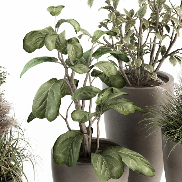 indoor Plant Set 264 - Plant Set in pot — Скачать