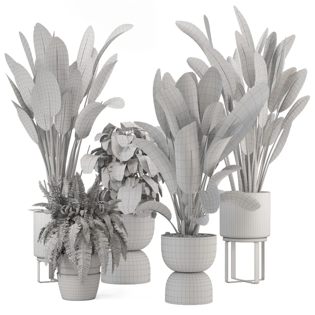Indoor Plants in Ferm Living Bau Pot Large - Set 1256 — Download
