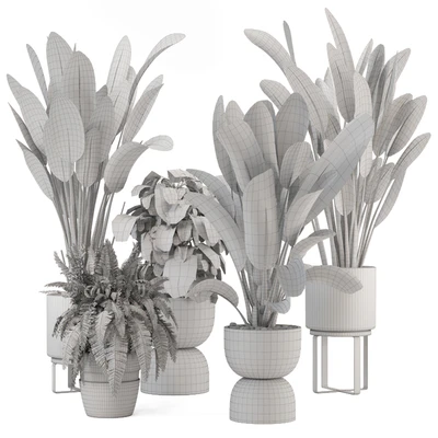 Indoor Plants in Ferm Living Bau Pot Large - Set 1256 — View 4
