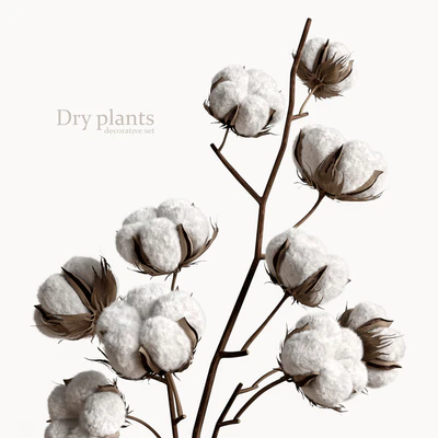Decorative set with dry plants 5 — Вид 4
