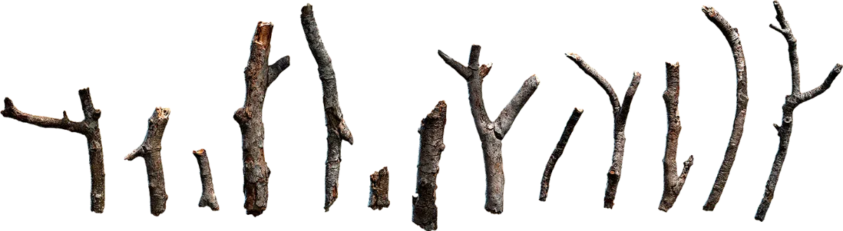wooden sticks and twigs 003 — Descargar