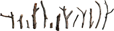 wooden sticks and twigs 003 — Descargar