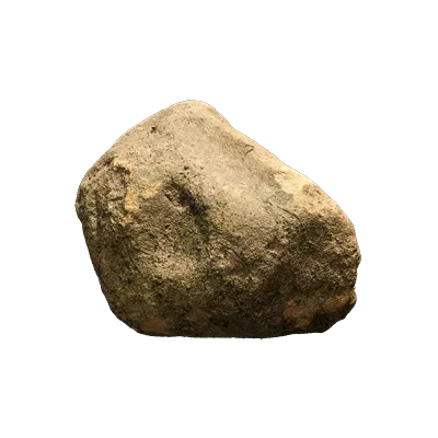 mossy beach rock 001 — Descargar