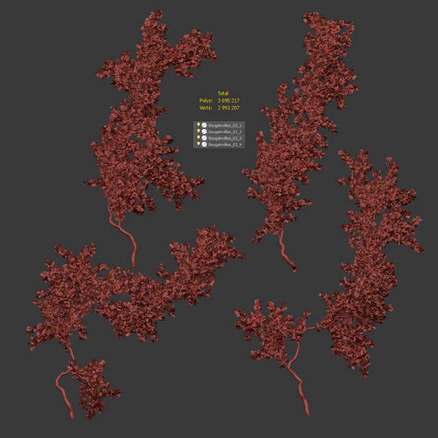 Bougainvillea for walls. 4 models — Descargar