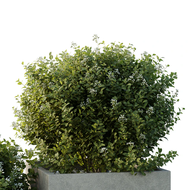 HQ Tree and bush garden box outdoor VOL 51 — Descargar
