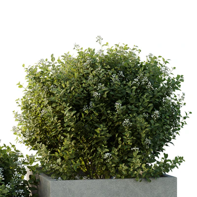 HQ Tree and bush garden box outdoor VOL 51 — Ver 5