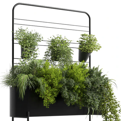 Collection Indoor plant 126 Auckland Black Metal Flower Box plant ivy fern pots — Вид 4