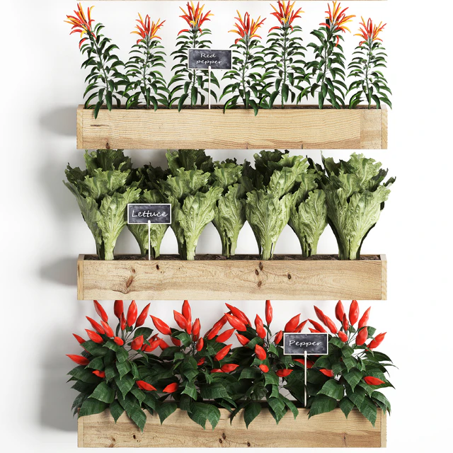 Vertical gardening. 45 Kitchen garden, kitchen garden, vegetables, herbs, peppers, tomatoes, tomatoes, Lettuce, phytomodule, phytowall, eco design, natural decor, vegetable garden — Descargar