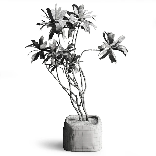 Tree in stone Planter — Descargar