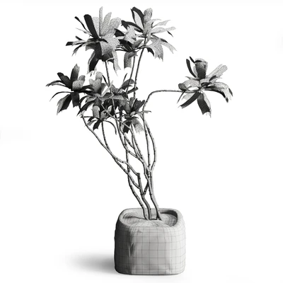 Tree in stone Planter — Ver 4