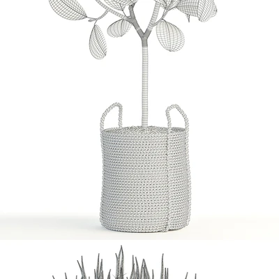 Plants collection 87 — Ver 2
