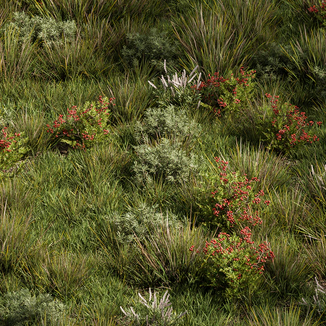 Nature Meadow - Grass Set 17 — Descargar