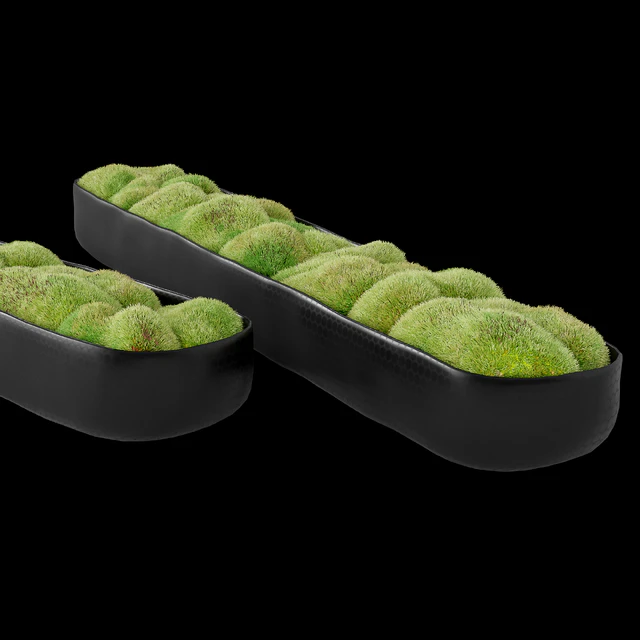Rh organic sculpted trough — Descargar