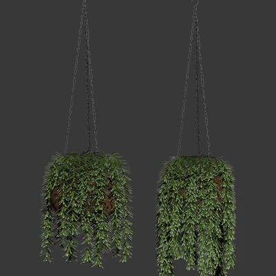 Hanging plants in pots — Ver 3