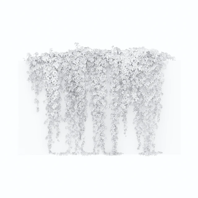 Hanging plant 49 — Download