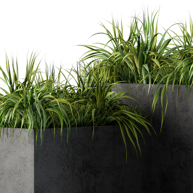 Outdoor Concrete Plant Box with Cereals and Green Grass — Скачать