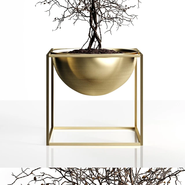 Branching tree — Descargar