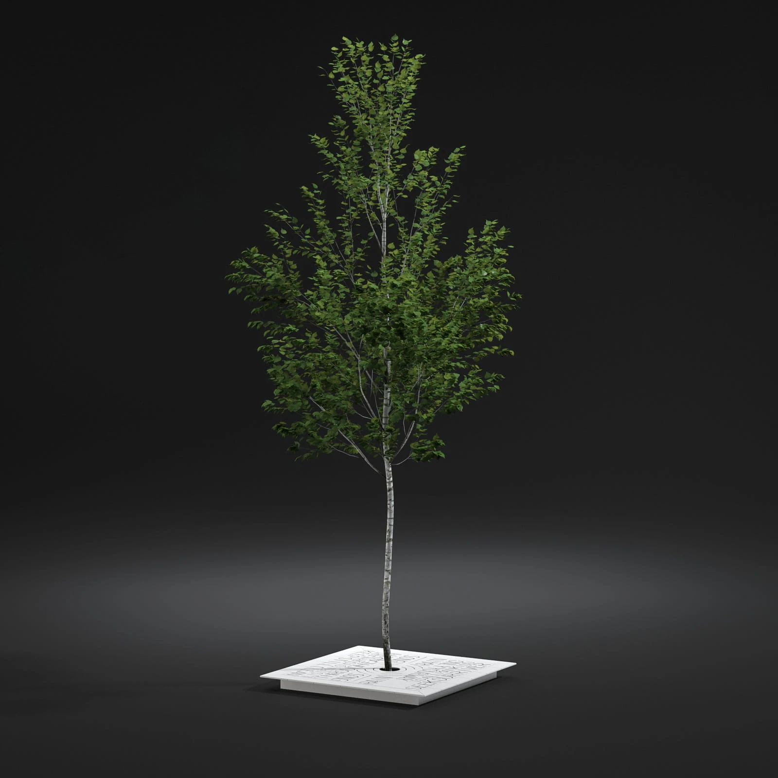 street props 005 — Descargar