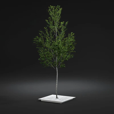 street props 005 — Descargar