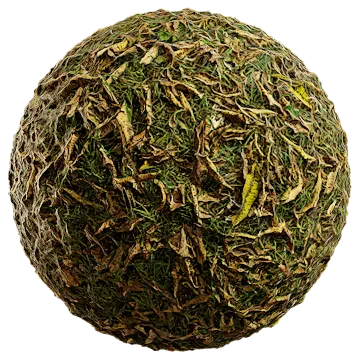 fallen leaves and grass 006 — Скачать