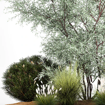 Альпийская горка с кустами олива, сосна, камыш, Ковыль трава, Лох серебристый. Набор растений 1189 — Вид 6