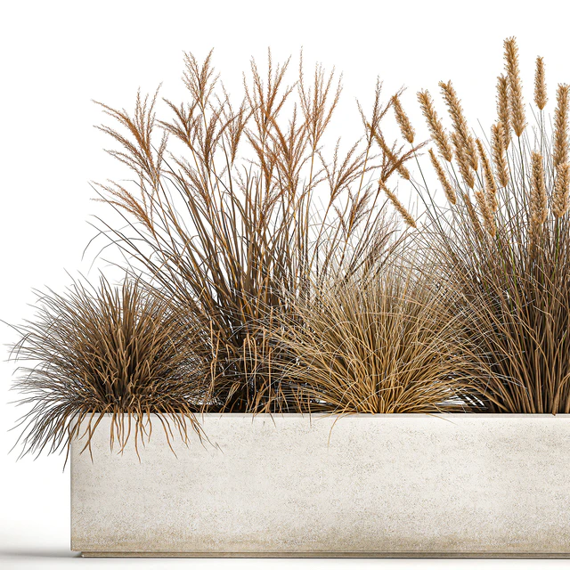 Collection of dried flower plants in a pot of Pampas grass, reeds, flowerbed, landscaping, bushes. 1072. — Descargar