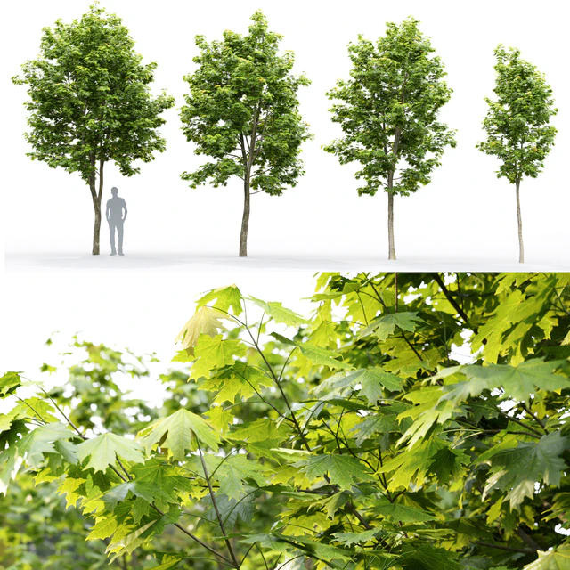 Acer — Descargar