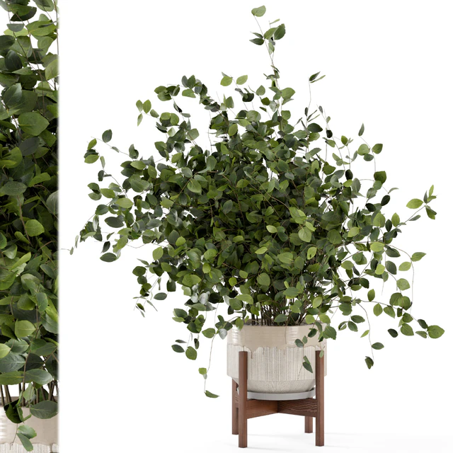 Indoor Plants in rusty Concrete Pot - Set 280 — Скачать