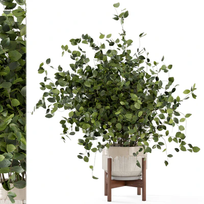 Indoor Plants in rusty Concrete Pot - Set 280 — Вид 1