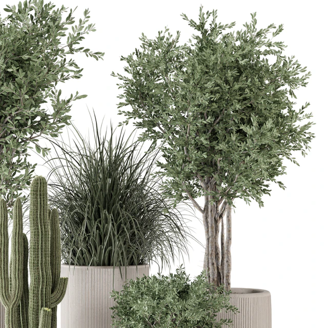 Indoor Plants  in rusty Concrete Pot - Set 1911 — Скачать