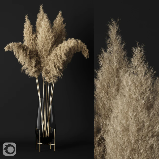 A bunch of Pampas — Скачать