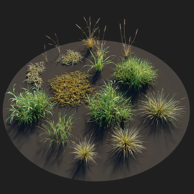 Meadow 09 — Вид 3