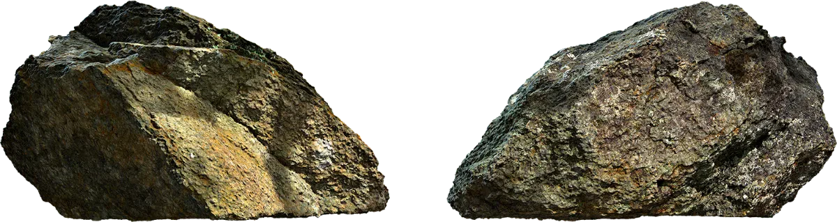 lichen covered rock 033 — Descargar