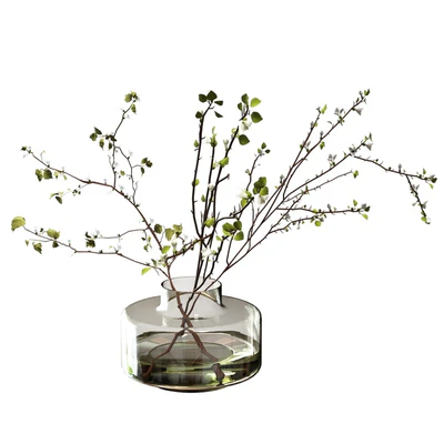 Branches with leaves and flowers in a vase — скачать
